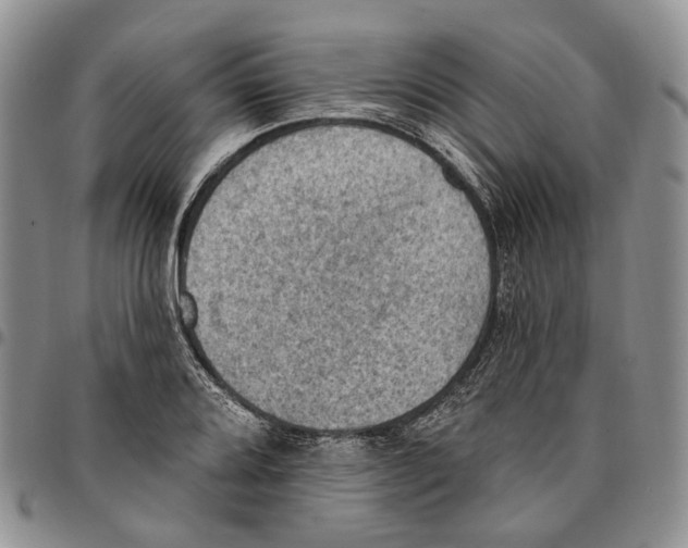 X0000096681080200803041235