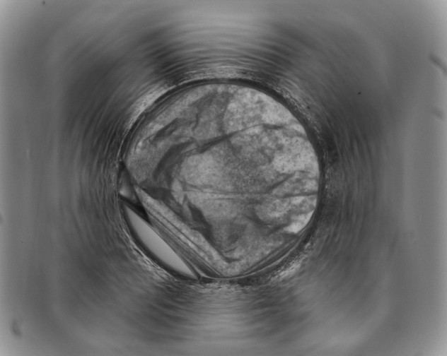 X0000096681081200803041235
