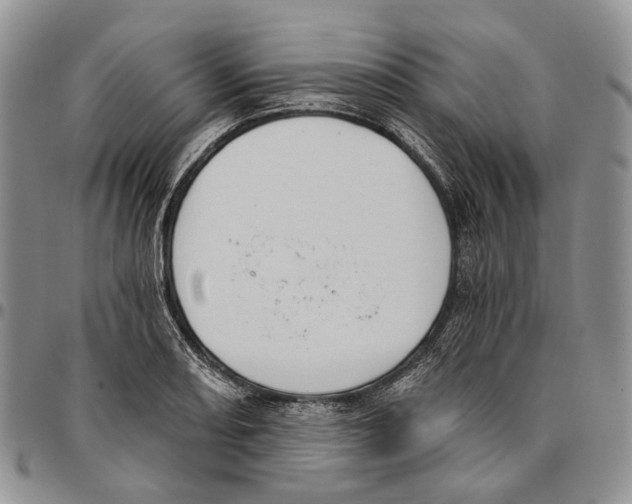 X0000096681082200803041235