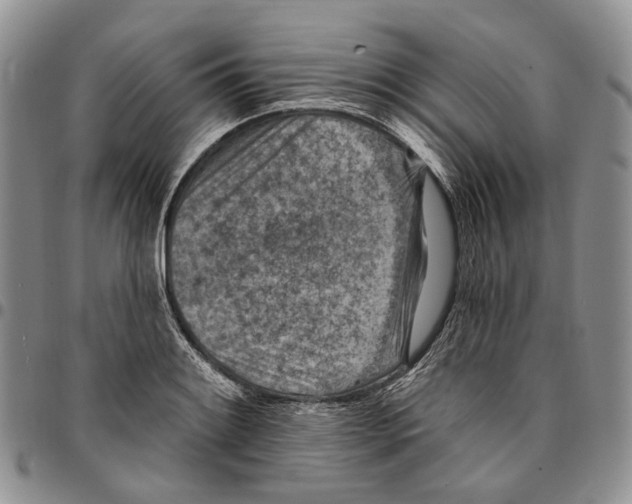 X0000096681084200803041235