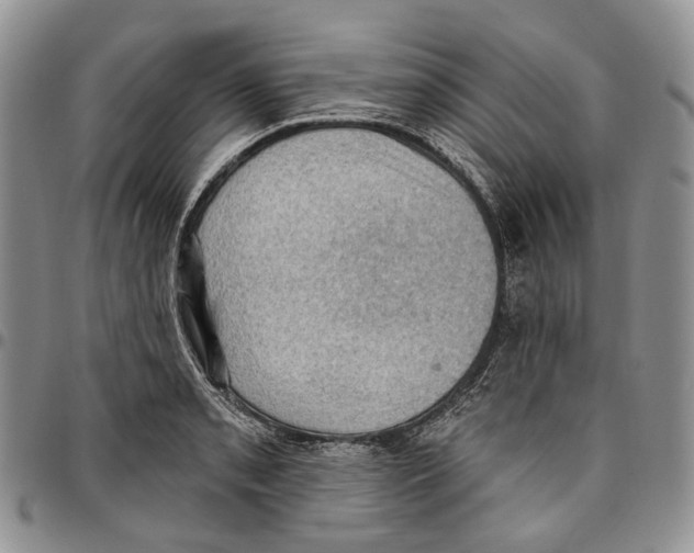 X0000096681085200803041235