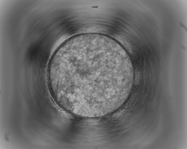 X0000096681086200803041235
