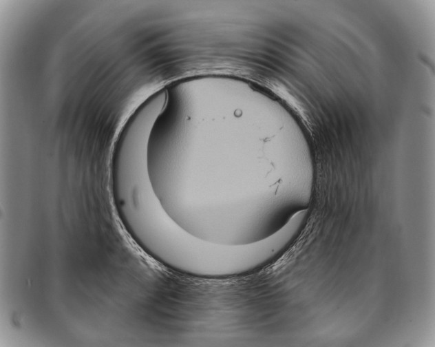 X0000096681088200803041235