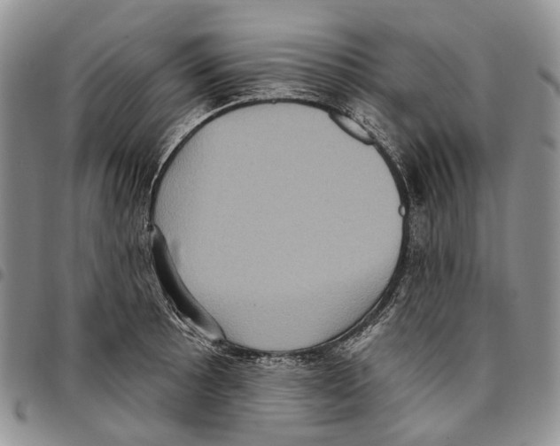 X0000096681089200803041235