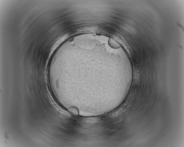 X0000096681090200803041235