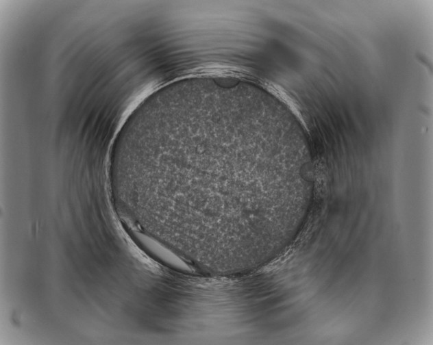 X0000096681091200803041235