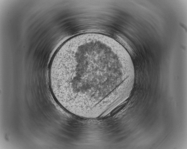 X0000096681092200803041235