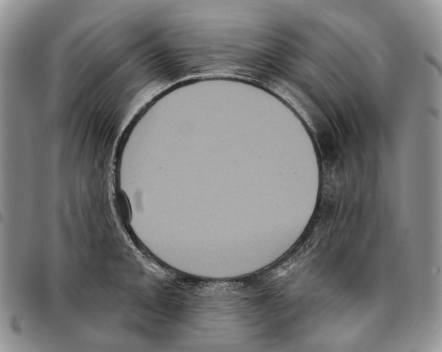 X0000096681093200803041235