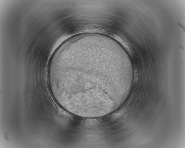 X0000096681094200803041235