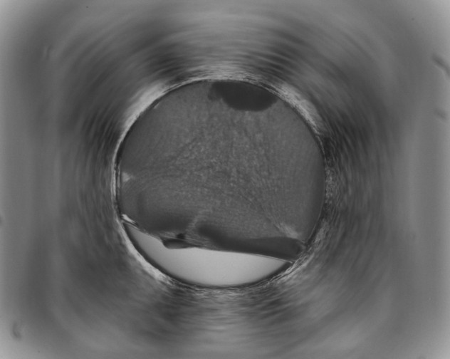 X0000096681095200803041235