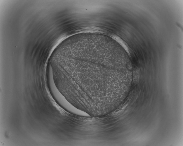 X0000096681099200803041235