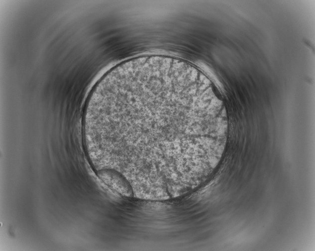 X0000096681100200803041235