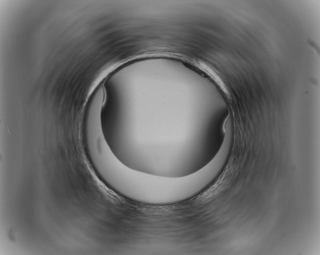 X0000096681101200803041235