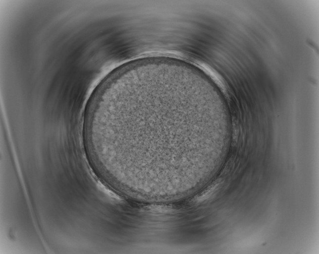 X0000096681102200803041235