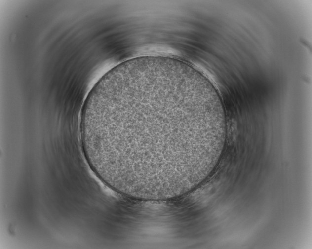 X0000096681103200803041235