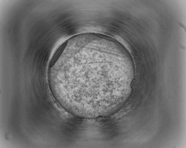 X0000096681104200803041235
