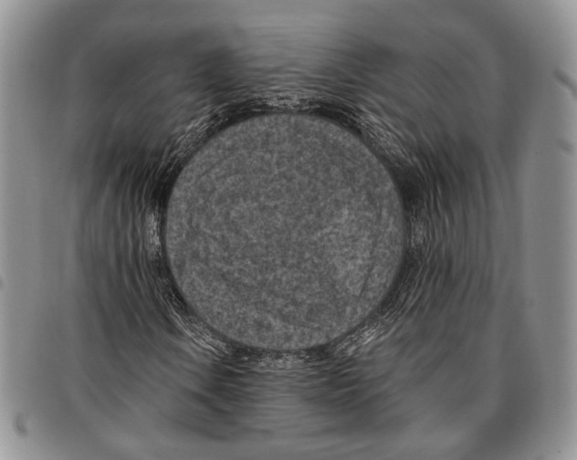 X0000096681106200803041235