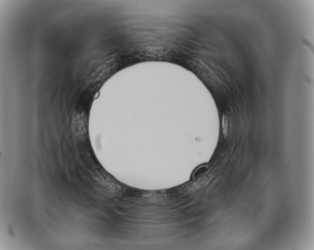 X0000096681107200803041235