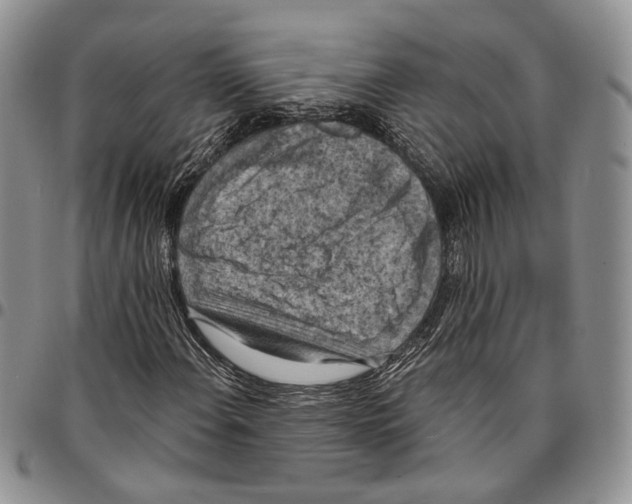 X0000096681108200803041235