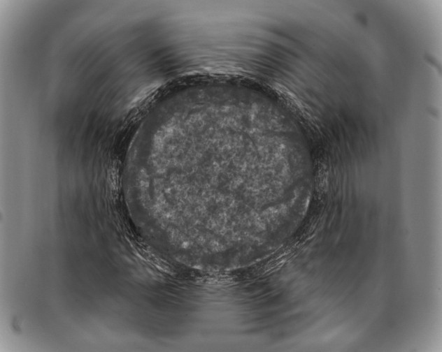 X0000096681110200803041235