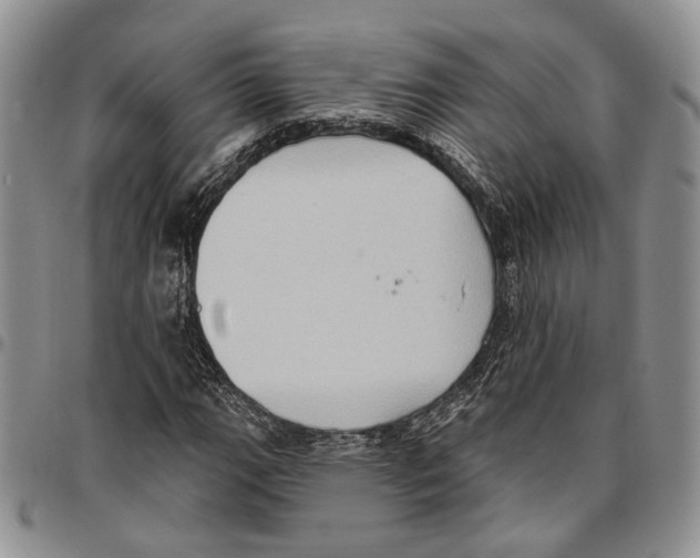 X0000096681111200803041235