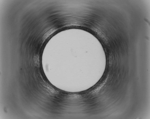 X0000096681113200803041235