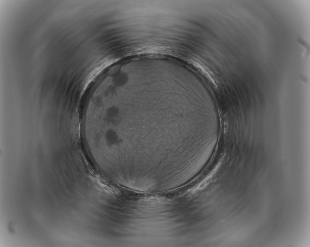 X0000096681117200803041235