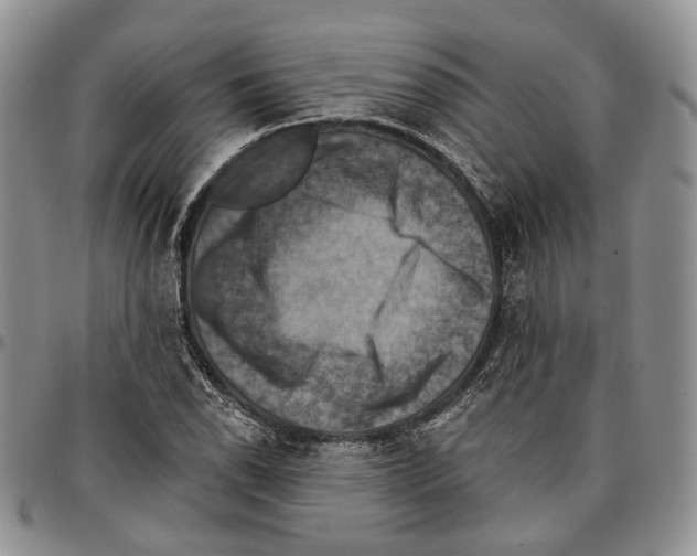 X0000096681118200803041235