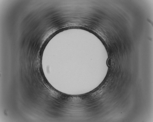 X0000096681119200803041235