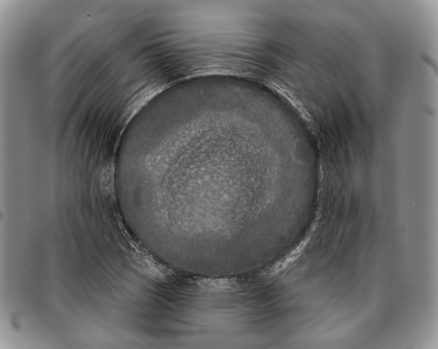 X0000096681121200803041235