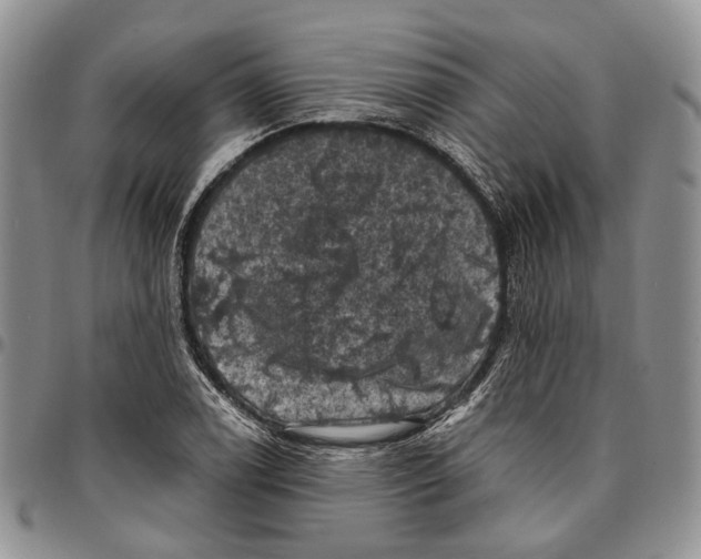 X0000096681122200803041235