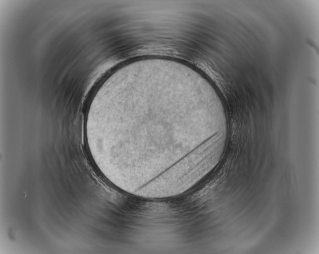 X0000096681123200803041235