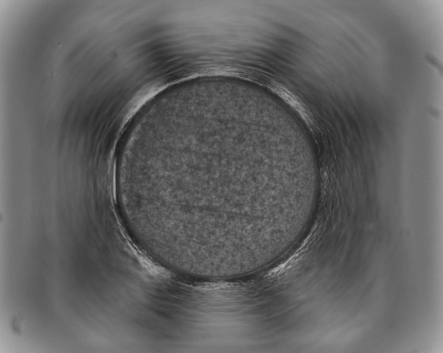 X0000096681127200803041235