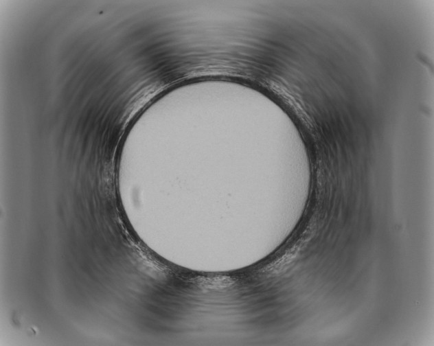X0000096681129200803041235