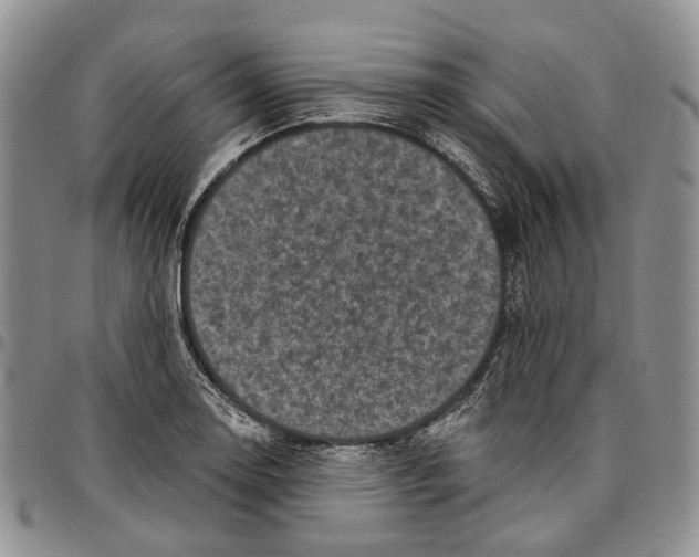 X0000096681130200803041235