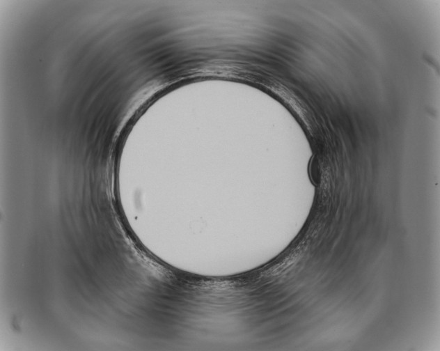 X0000096681131200803041235