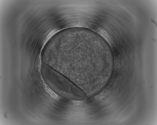 X0000096681132200803041235