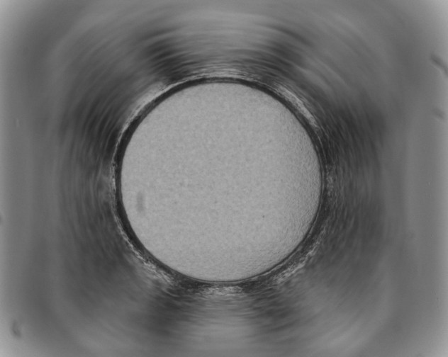 X0000096681133200803041235