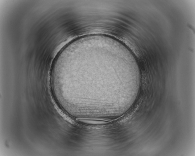 X0000096681134200803041235
