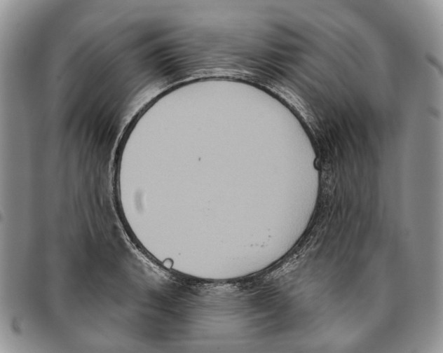 X0000096681135200803041235