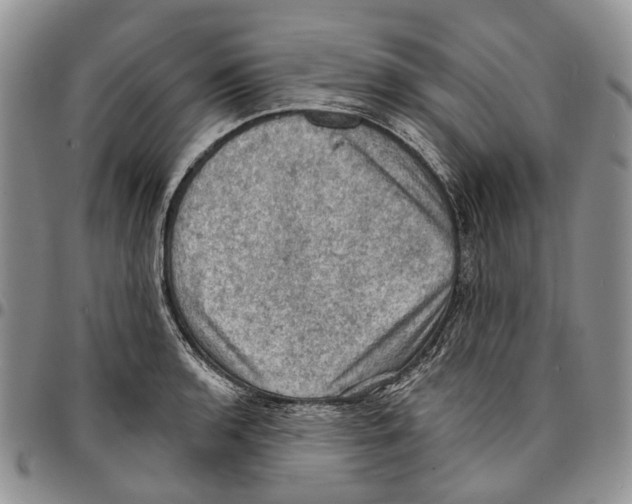 X0000096681136200803041235