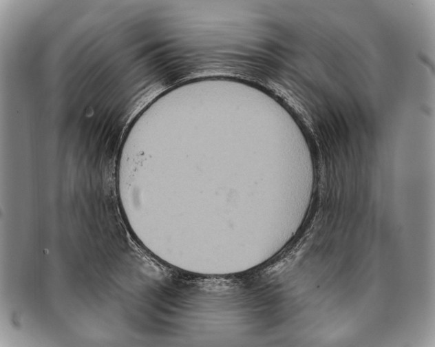 X0000096681137200803041235