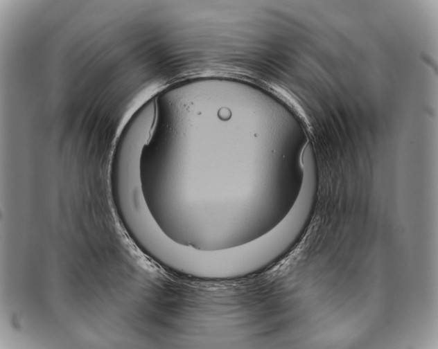 X0000096681138200803041235