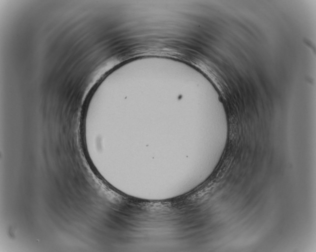 X0000096681139200803041235