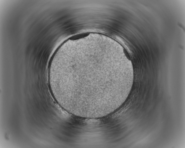X0000096681140200803041235