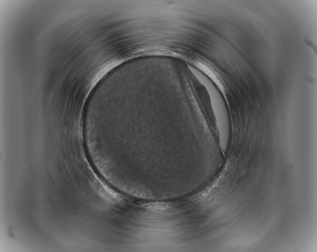 X0000096681141200803041235