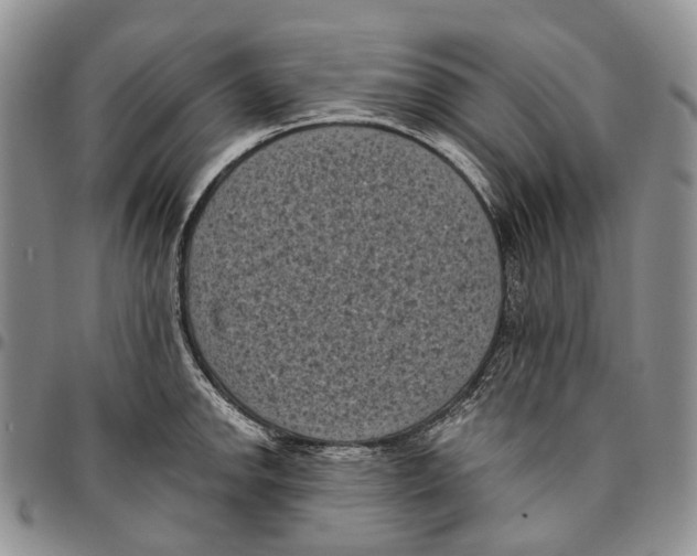 X0000096681142200803041235