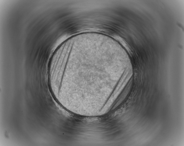 X0000096681143200803041235