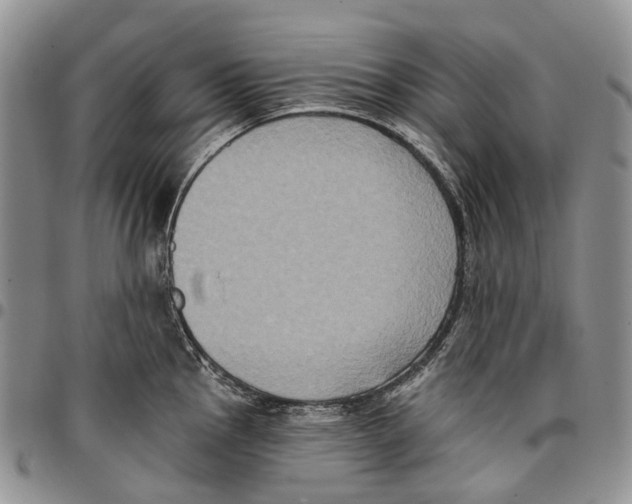 X0000096681145200803041235