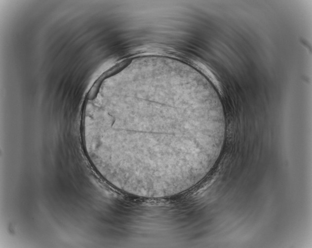 X0000096681146200803041235